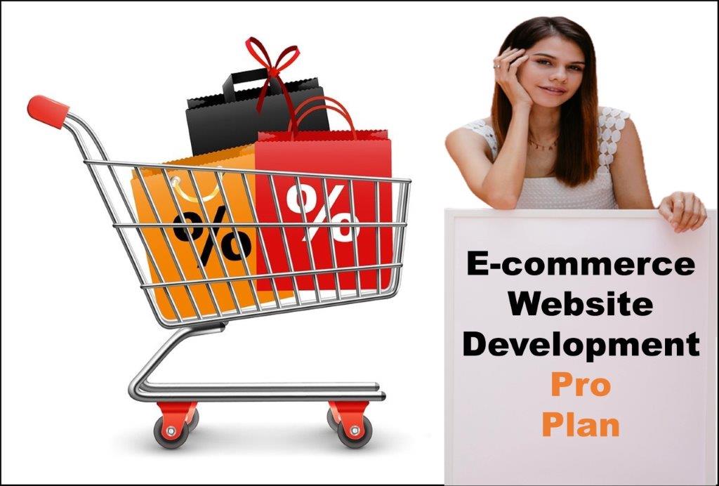 professional ecommerce website development agency in Lansing Michigan