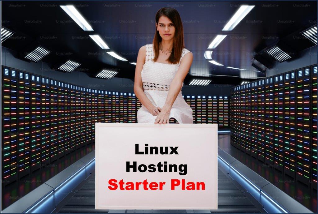 Website Hosting in Lansing Michigan